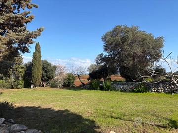 TER. AGRICOLO A POLIGNANO A MARE