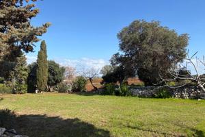 TER. AGRICOLO A POLIGNANO A MARE