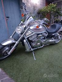 Harley Davidson VCRSA