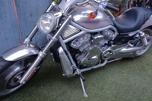Harley Davidson VCRSA