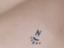Immagine 6