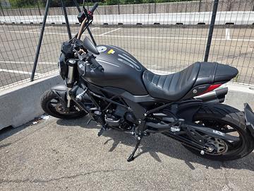 Benelli 502 C - 2019