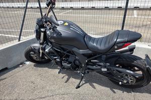 Benelli 502 C - 2019