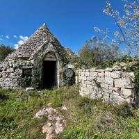 CASA DI CORTE A CEGLIE MESSAPICA