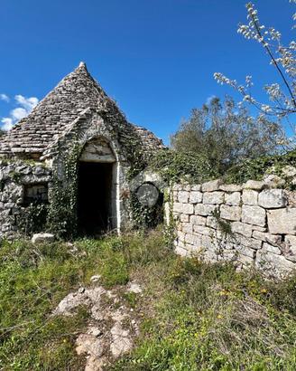 CASA DI CORTE A CEGLIE MESSAPICA