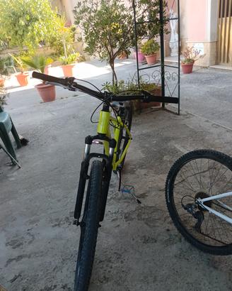 Bici lombardi