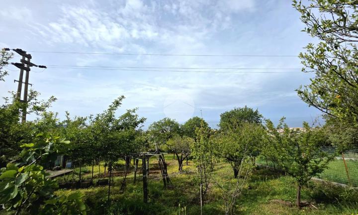 4 LOCALI A PRAIA A MARE