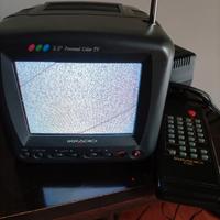 TV portatile 