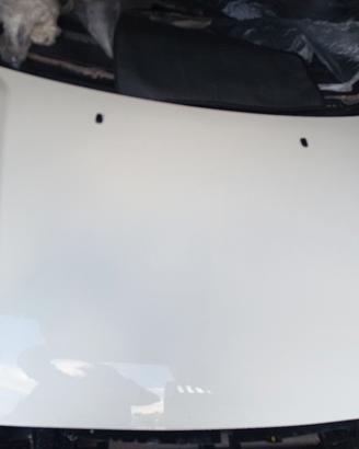 cofano Ford Fiesta 2007 bianco