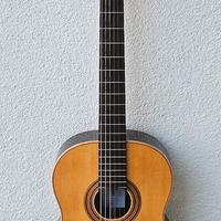 BORTOLOZZO TORRES 2013 #27