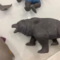 Raccolta animali dello zoo, di mare , dinosauri ,