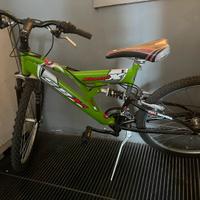 Bicicletta mtb phoenix 26