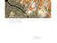 Immagine 20