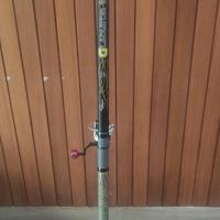 Canna da pesca Bolognese 10mt