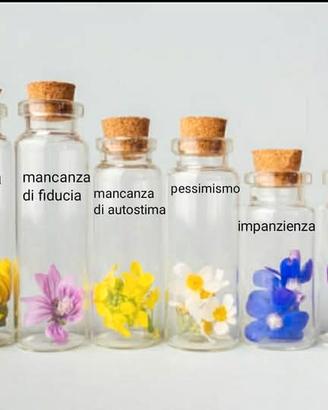 Sono disponibile come addetta vendite erboristeria