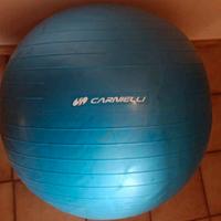 palla fitness palestra 