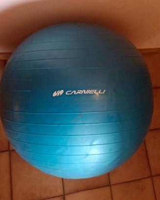 palla fitness palestra 