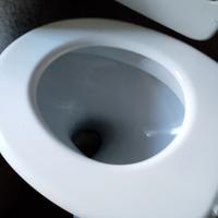 tazza da bagno completa di coperchio no plastica