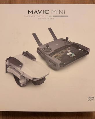 DJI Mavic Mini Fly More Combo con tutti accessori