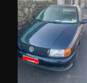Polo 6N