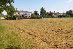 terreno verde privato