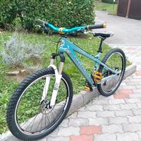 Wheelie bike 