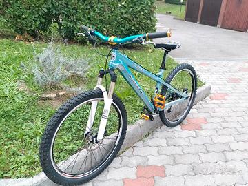 Wheelie bike 