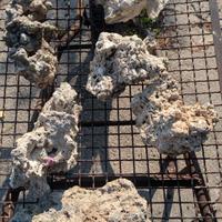 Rocce marine e schiumatoio