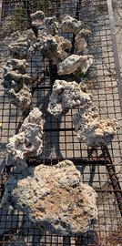 Rocce marine e schiumatoio