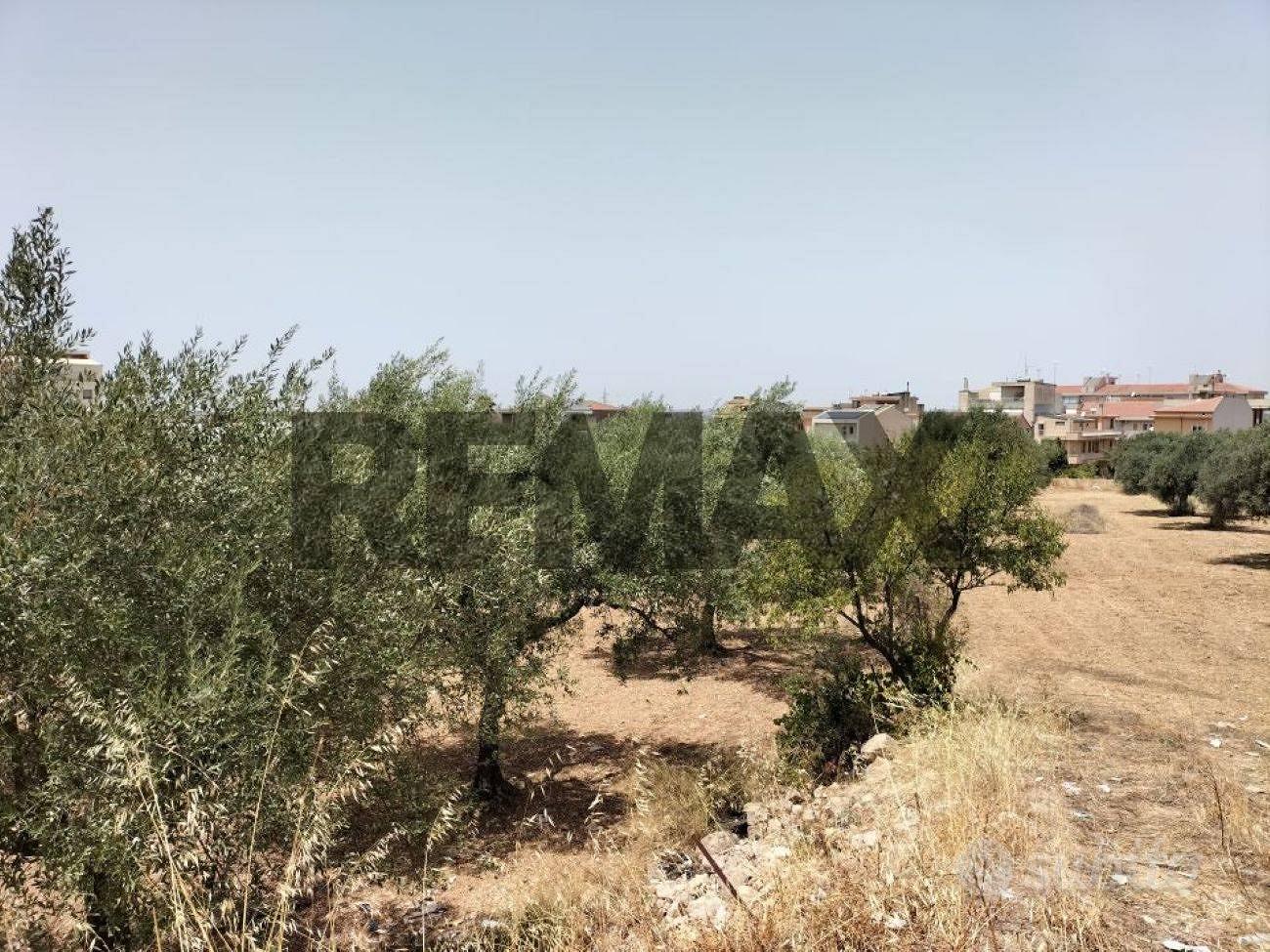 Terreno - Comiso - Vista 4