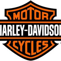 Harley Davidson felpa uomo XL originale