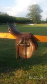 Selle da equitazione inglese ( salto , Trekking, )