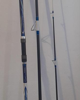 canne e mulinello surf