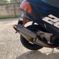 Marmitta Giannelli extra v2