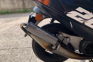 Marmitta Giannelli extra v2