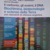 Il carbonio, gli enzimi, il DNA 9788808437495