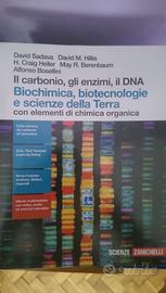 Il carbonio, gli enzimi, il DNA 9788808437495