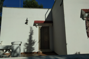 Abitazione circondata da pineta