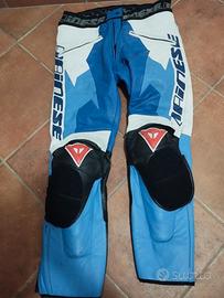 Pantalone moto Dainese