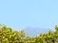 Immagine 19