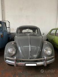 VOLKSWAGEN Maggiolone MAGGIOLONE