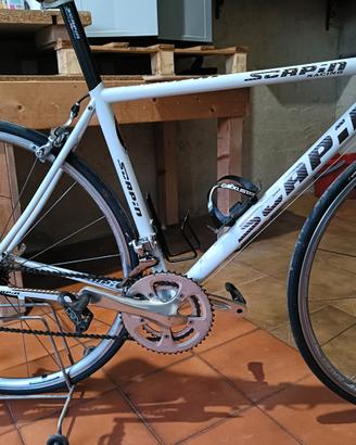 Scapin
