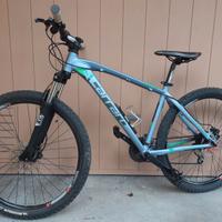 Mountain Bike Carraro