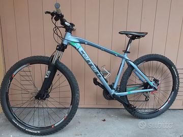 Mountain Bike Carraro