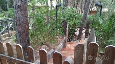 Sud Sardegna pinus Village S.Margherita pula chia