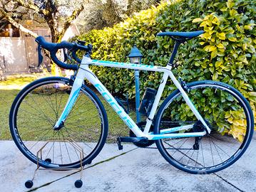 Focus corsa Cayo Shimano Taglia M 