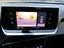 Immagine 14