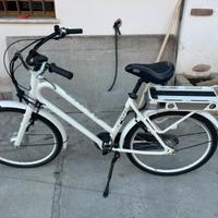 Bici elettrica