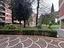 Immagine 11