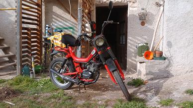 Malaguti Fity HF 1980